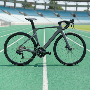 Vélo de <span class=keywords><strong>Course</strong></span> Urbain 2026 Best-Seller en Fibre de Carbone R10 Di2 Wheeltop Tx 24 Vitesses avec Frein à Disque et Pédales Standard - Product Image 1