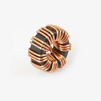 Inductor de Núcleo de Polvo de Hierro de Alta Eficiencia para Fuentes de Alimentación Conmutadas y Electrónica de Consumo