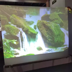 ภาพโฮโลแกรม3D โฮโลแกรมด้านหลังที่ชัดเจนสำหรับร้านค้า Windows โฆษณาวิดีโอ