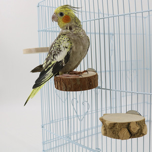 Talk-Satisfied 8mm Love <strong>Bird</strong> Stocked Foot <strong>Ring</strong> Flying Training Pigeon <strong>Leg</strong> <strong>Rings</strong> Eco-Friendly All Seasons - Product Image 3