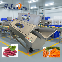 Wortelgewas-was- en schilmachine voor aardappelen en yams