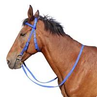 Halter cheval en nylon conçu sur mesure pour bride équestre et de course