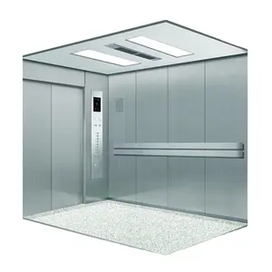 China Manufacturer 6 People Commercial Lift Passenger Etching Elevator Cabin Price