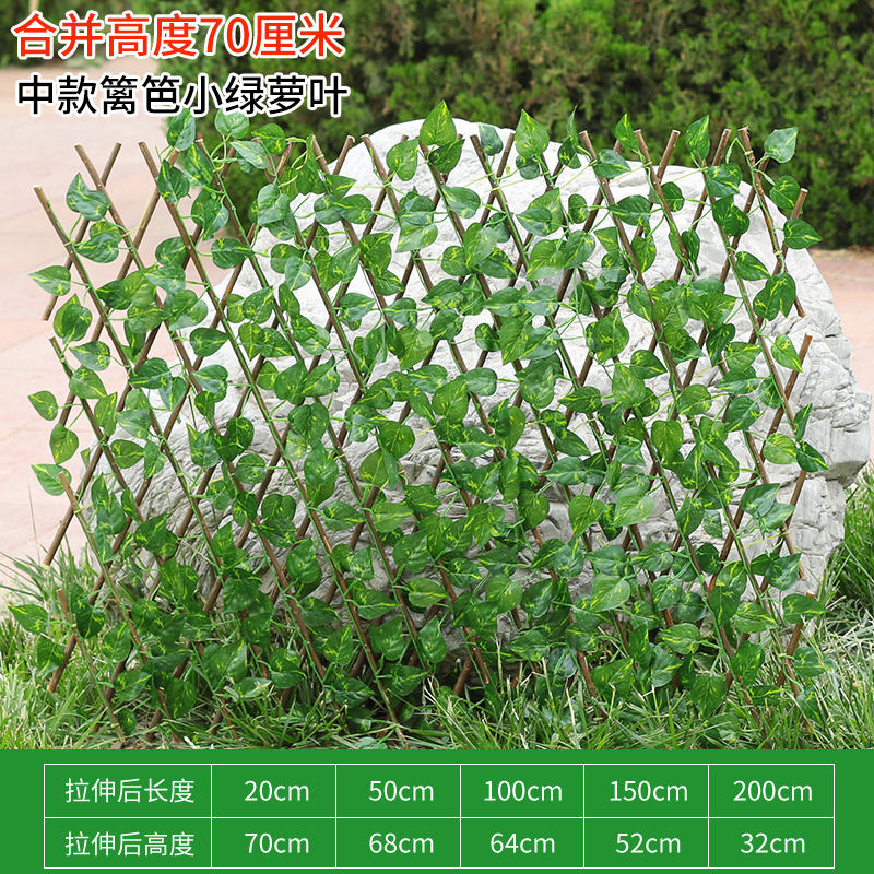 Clôture moyenne-petite feuille verte