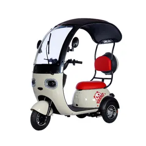 Triciclo eléctrico de ocio con marco de acero semicerrado, triciclo de dos personas de doble propósito con asiento de bebé y motor de cubo trasero