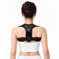 Support dorsal ajustable à larges bretelles en maille respirante pour marque privée – Équipement de fitness unisexe – Fabricant