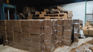 Bloc de cocopeat 5 kg 30 cm x 30 cm x 12 - 15 cm, faible teneur en EC, haute absorption, support de culture pour pépinières. - Product Image 5