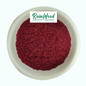Capsules de levure de riz rouge Rainwood – Prix de gros – Extrait pur de levure de riz rouge 500 mg – Complément alimentaire – Capsules de levure de riz rouge - Product Image 2