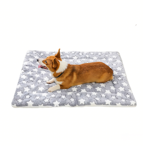 Couverture pour animaux de compagnie écologique toutes saisons, double couche, épaisse, double face, en peluche, chaude, pour chien et chat, motif dessin animé moderne - Product Image 1
