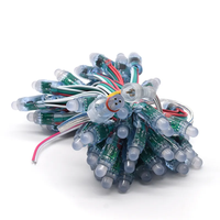 Noël extérieur étanche arc-en-ciel couleur Dc 5v 12v 12mm Ws2811 Ws2812 noir rvb adressable Led Pixel Module Led guirlande lumineuse