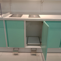Combinaison moderne de Cabinet médical de meubles d'hôpital dans la salle d'opération de traitement pour la clinique