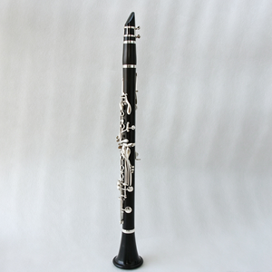 Clarinetto Sib FCL-500S Focustyle in Ebano, Placcato Argento, 18 Chiavi, Strumento Professionale per Musicisti Intermedi e Avanzati - Product Image 1