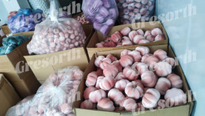 Calabazas Artificiales Mixtas de Terciopelo <span class=keywords><strong>Mubai</strong></span>, Hechas a Mano, Duraderas, para Bodas de Otoño, Acción de Gracias, Halloween, Decoración de Chimenea y Fiestas - Product Image 6