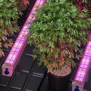 תאורת לד 150W מתחת לחופה לגידול מסחרי, להגברת צמיחת עלי צל, תאורת לד לגידול - Product Image 2