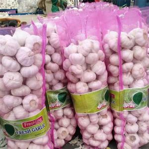 Ail frais blanc pur, bon marché, blanc neige, origine chinoise, ail Super blanc, vente en gros pour l'exportation - Product Image 2