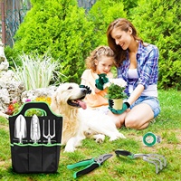 Juego de Herramientas de jardín Manual de aleación de aluminio, alta calidad, OEM, 11 piezas, con bolsa de transporte para jardín
