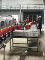 Machine de transformation de la tomate, équipement d'usine de concentré de tomate, concentrateur de tomate
