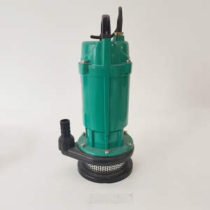 Pompe à eau centrifuge submersible auto-amorçante Qdx Landis avec boîtier en fonte pour l'irrigation agricole - Product Image 4