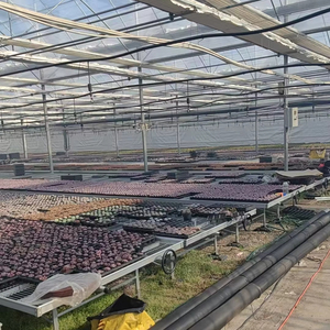 Tables <span class=keywords><strong>de</strong></span> bancs <span class=keywords><strong>de</strong></span> serre roulantes durables pour <span class=keywords><strong>lit</strong></span> <span class=keywords><strong>de</strong></span> pépinière avec couvercle en alliage d'aluminium et maille à armure toile pour l'ensemencement - Product Image 1