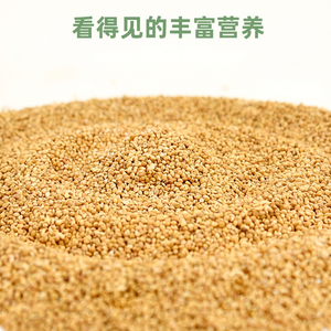 Mélange de millet décortiqué et de céréales nutritives pour mangeoire à oiseaux, pour perroquets, perruches, calopsittes, origine Shandong, alimentation écologique pour animaux de compagnie - Product Image 1