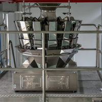Machine automatique d'emballage scellant de sachets de snack d'emballage de chips de banane plantain de manioc et de pomme de terre avec azote gazeux