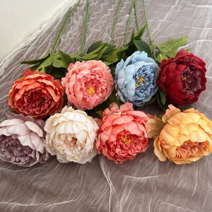 Sắp xếp vòm tường nhiếp ảnh trang trí phòng khách nhìn thực chất lượng cao Nhà máy lớn lối đi hoa xoăn liễu chi nhánh - Product Image 1