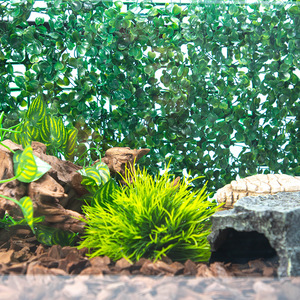 Décor pour terrarium d'animaux grimpants, amphibies, poissons, en bois/branche, fond paysager pour aquarium, pelouse simulée, réutilisable, marque <span class=keywords><strong>Levana</strong></span>, pour usage extérieur - Product Image 4