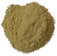 Extrait sec naturel de Phyllanthus Niruri Bhui Amla Tamaki en poudre, séché au plateau et séché par pulvérisation, extrait botanique pour l'alimentation et les boissons
