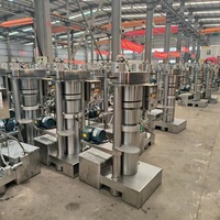 Presse hydraulique automatique en acier inoxydable Luoyu pour usage domestique, 380V, capacité 150kg/h, pressage à froid et à chaud pour huile d'olive et huile de sésame, garantie 1 an
