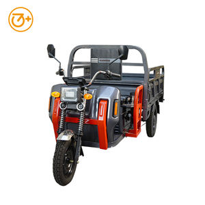 2025 Neues Modell EEC COC 2000W 3000W 72V Fracht-Dreirad Leistungs starker Muster bestell test - Product Image 5