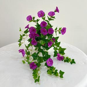 65cm Morning Glory Fleur Artificielle Décoration Murale Maison Tenture Murale <span class=keywords><strong>Chloris</strong></span> pour la Saint Valentin et le Nouvel An - Product Image 1