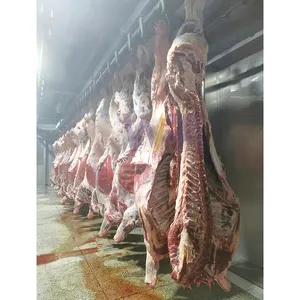 Support Customize Cattle Abattoir Slaughtering Line Equipment Accord With International Halal Beef Food Processing Requirement