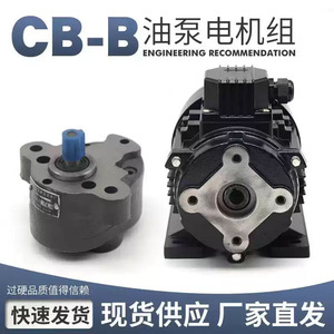 ปั๊มไฮดรอลิกแบบเฟือง CB-B4 B6 B10 B16 0.37KW ปั๊มน้ำมันแบบปริมาณคงที่ 1 จังหวะ สำหรับมอเตอร์เครื่องเลื่อย - Product Image 3