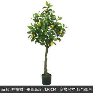Macetas y jardineras Ins, <span class=keywords><strong>limonero</strong></span>, tienda de ropa en maceta, <span class=keywords><strong>Interior</strong></span> accesorios de decoración para el hogar, adornos, árbol, planta verde - Product Image 4