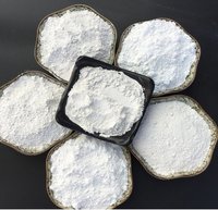 Aide filtrante à base de terre de diatomées pour la clarification des extraits de médecine traditionnelle chinoise, des solutions antibiotiques et des vitamines