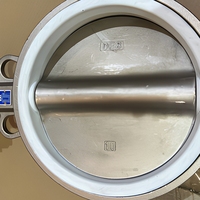 Válvula de mariposa SS304 CF8 con actuador, oblea de cuerpo concéntrico/excéntrico/LT/conexión de brida para medios de agua