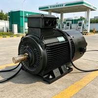Alternateur éolien 220V 50Hz 230V CA basse vitesse 30kW 500 tr/min Générateur à aimant permanent à flux axial IP54/IP68 Enroulement 100%