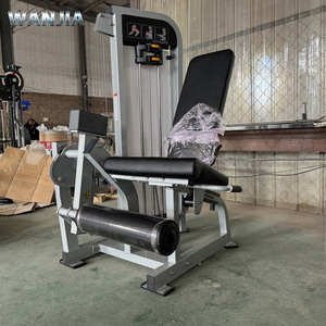 Attrezzatura Professionale per Palestra al Miglior Prezzo, Macchina per Allenamento della Forza con Carico a Perni, Estensione Gambe in Vendita - Product Image 5