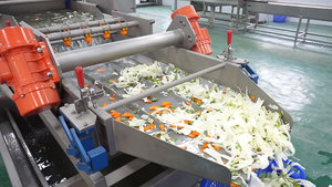 Línea Completa de Procesamiento de Vegetales Frescos, Suministro de Fábrica, Línea de Producción Comercial de Vegetales Limpios, Equipos para Producción de Ensaladas - Product Image 4