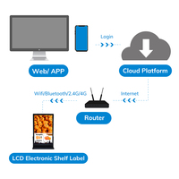 Etiqueta Electrónica de Estante MinewTag de 10.1 Pulgadas con Soporte en Forma de T, Pantalla LCD a Todo Color, con BLE/WiFi para Tiendas Especializadas
