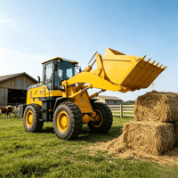 Pala Gommata da 16 Tonnellate con Benna da 3 Metri Cubi per Lavori di Carico Materiali Voluminosi in Edilizia e Agricoltura