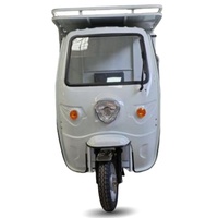 Triciclo Eléctrico de Carga Grande de 3 Ruedas HLD Manufacturer Express con Escalera Lateral y Caja de Carga Grande
