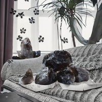 Batu Sister Stone Alami untuk Penyembuhan, Ramah Lingkungan, Batu Semi Mulia Smokey Quartz Kristal Berlian Bentuk Tidak Beraturan yang Dipoles (Grosir)
