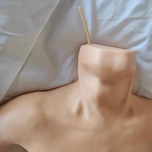 Equipo de Entrenamiento Quirúrgico Integral para Acceso Venoso Periférico, Modelos de Simulación para Inserción de Línea <span class=keywords><strong>PICC</strong></span> Venosa Central - Product Image 3