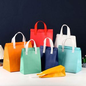 Sac isotherme jetable écologique en non-tissé coloré pour gâteaux, déjeuners, restaurants et écoles - Product Image 2