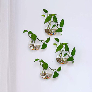 HOT Wall Hanging Propagation Glass Plant Terrarium <b>Container</b> Shape for Propagating Hydroponic Home Office Garden Decor - Product Image 3