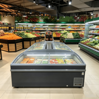 Congélateur îlot horizontal à porte coulissante en verre Elite Retail, intégré et prêt à l'emploi, pour la section de réfrigération des grands magasins