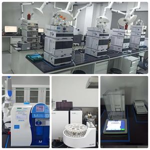 Bột chiết xuất nhân sâm 10%-80% Ginsenoside OEM Viên nang nhân sâm - Product Image 6