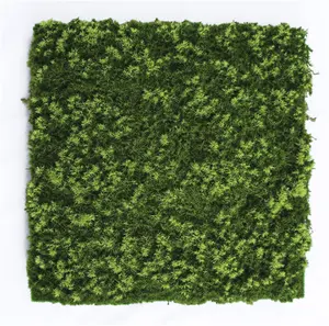 MÃO DE OURO Baixo Preço 2024 Novo Tipo Casa Decoração Artificial Sphagnum Moss Grama Parede Musgo Artificial