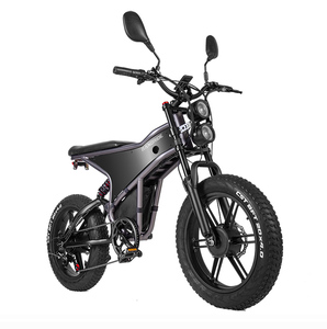 Bicicleta Eléctrica de Montaña RANDRIDE DM711 de Aleación de Aluminio, 20 Pulgadas, Batería de Litio, Doble Suspensión, para Uso en Exteriores - Product Image 1